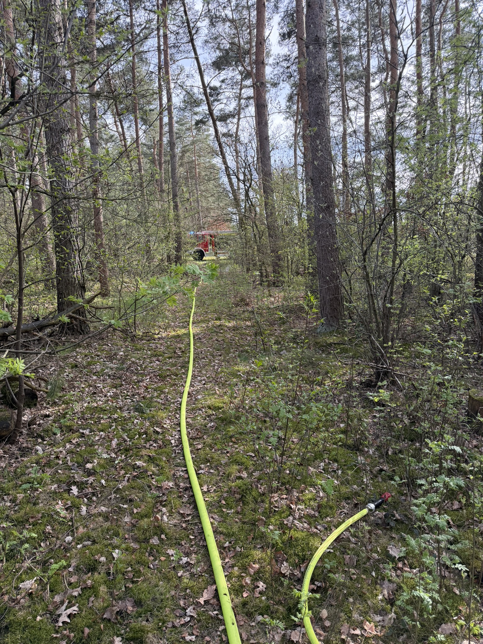 Einsatz%202026-04-08%20Waldbrand%20Waldheim%20%283%29